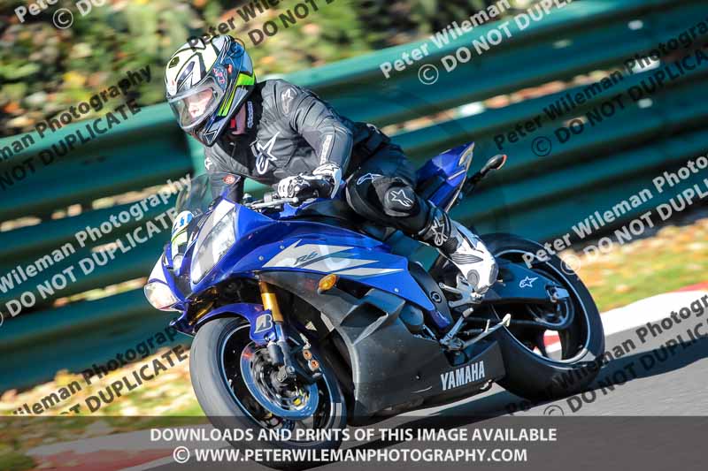 cadwell no limits trackday;cadwell park;cadwell park photographs;cadwell trackday photographs;enduro digital images;event digital images;eventdigitalimages;no limits trackdays;peter wileman photography;racing digital images;trackday digital images;trackday photos